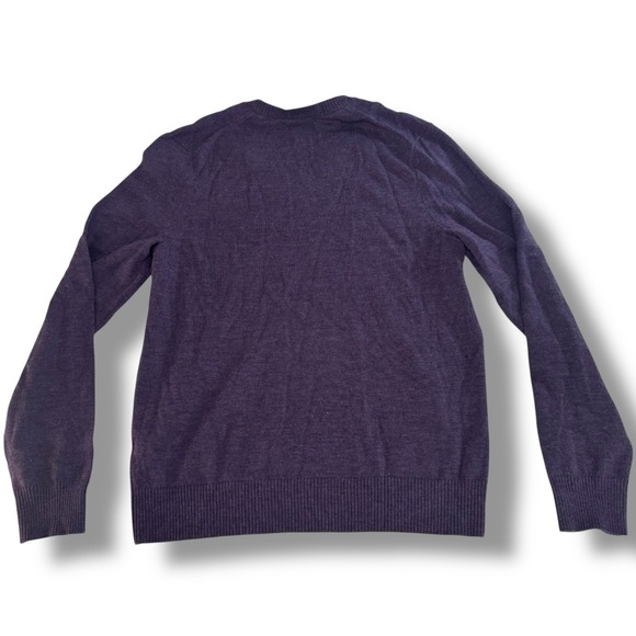 Banana Republic Extra Fine Merino Wool V Neck Sweater Purple Large - Picture 2 of 8